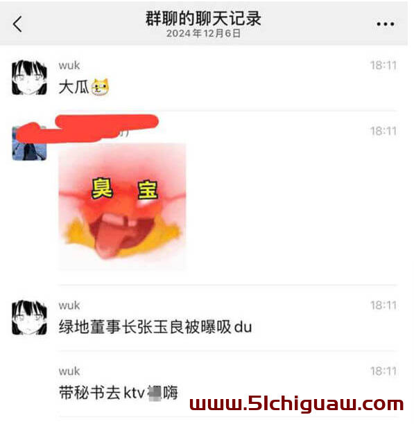 张玉良事件：网络时代的谣言与应对